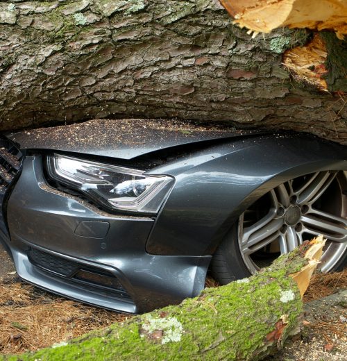 RCA A vehicle damaged by a fallen tree after an accident in the United Kingdom.
